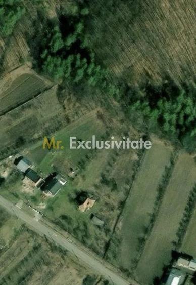 Casă cu Teren 4226 Mp în Băbana