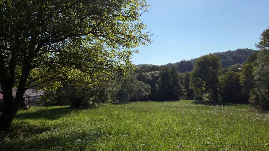 Teren Construcții intravilan de 4653 mp, în Valea Danului