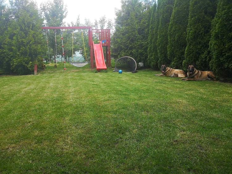 Casa la cheie, mobilata complet, 163 mp, 600 mp teren, Peris (Mures) - 1