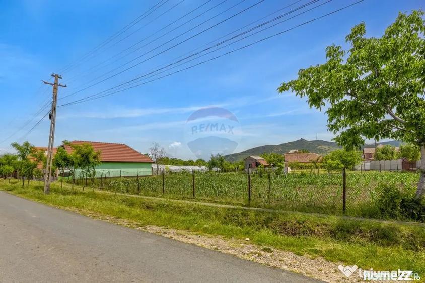 Casă cu 4 camere cu Teren 2422 Mp în Șiria