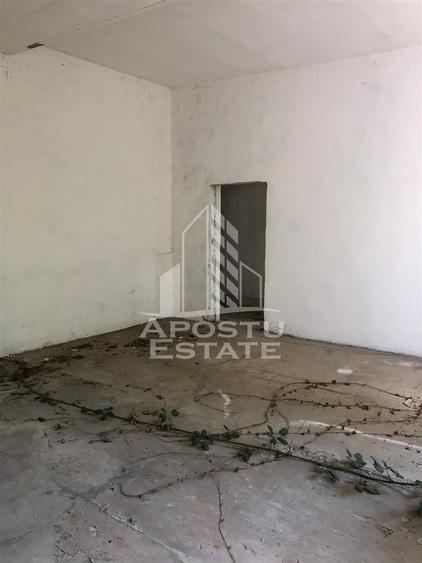 Teren Construcții intravilan de 8000 mp, în Vladimirescu