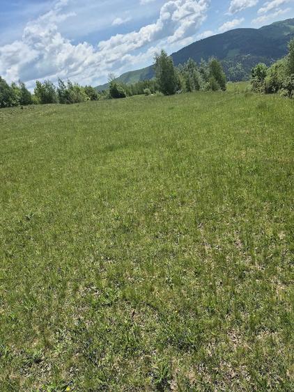 Teren de 3000 mp, în Ponor