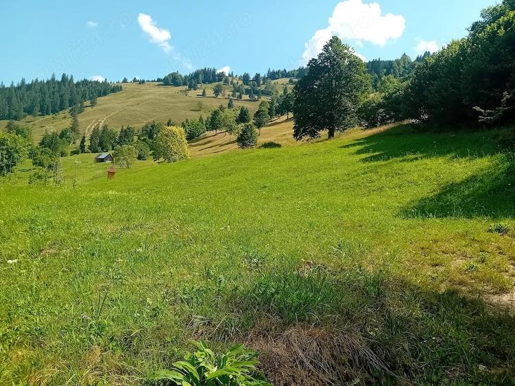 Teren de 5800 mp, în Dămuc