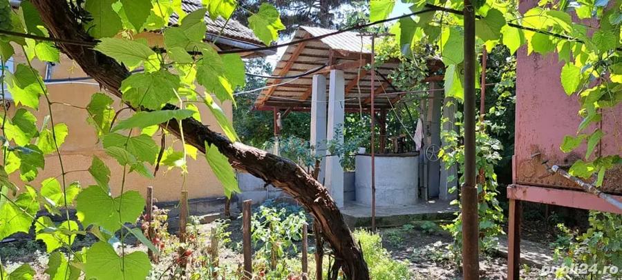 Casa de vanzare, comuna Cujmir, Mehedin?i, beci, fantana, gradina, 686 mp total - 1