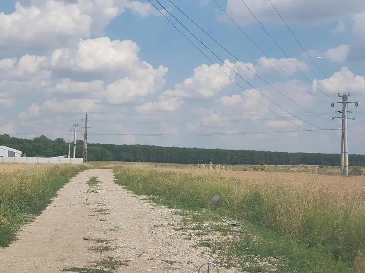 Teren de 609 mp, în Pielești