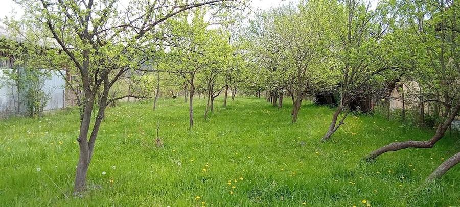 Vand teren intravilan - 5