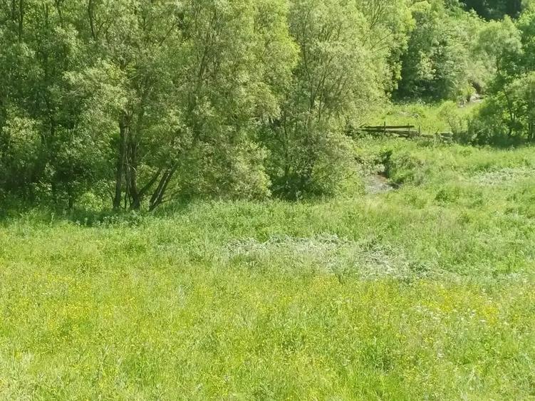 Teren de 3500 mp, în Muntele Băișorii