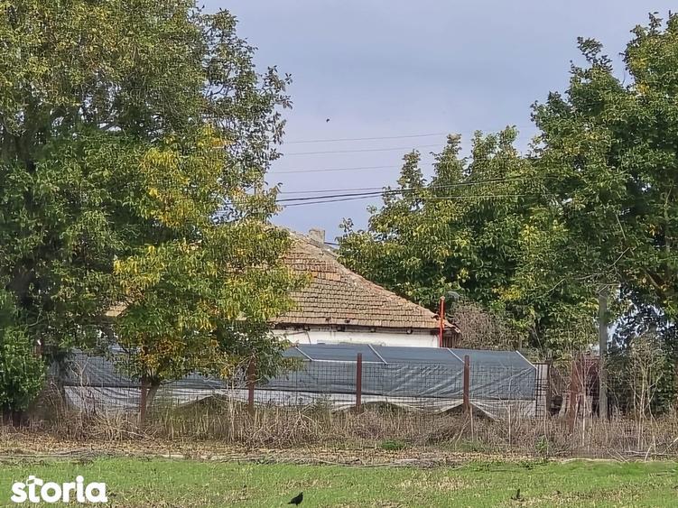 Comuna Amzacea- sat G.Scari?oreanu -Ferma zootehnica , teren 5,1ha - 4