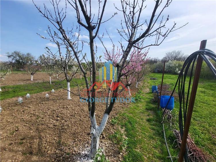 Casă individuală cu 5 camere cu Teren 1387 Mp în Suseni