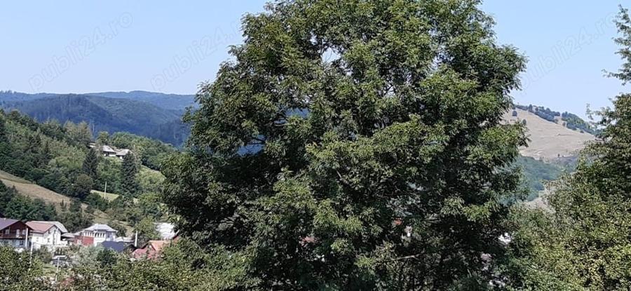 Teren în Voroneț