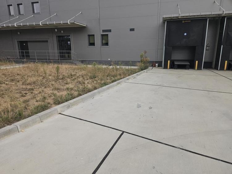 Spațiu industrial, de 786 mp, în Cernica