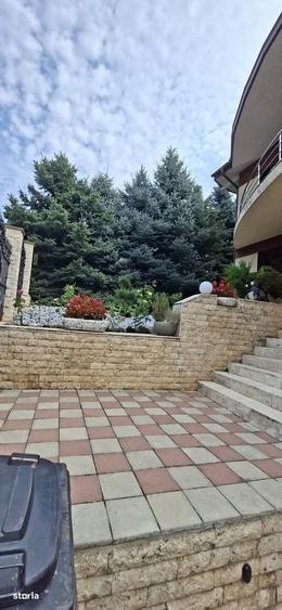 Casa individuala Bucium Plopii Fara Sot - 5