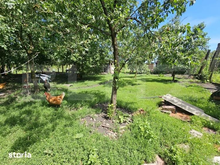 Casa renovata, 4.237mp teren intravilan, Dublu front stradal, Razboien - 19