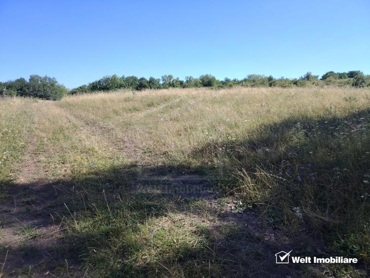 Teren agricol intravilan de 2900 mp, în Măcicașu