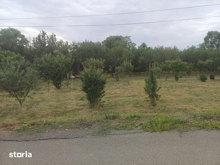 Teren de 1200 mp, în Borșa