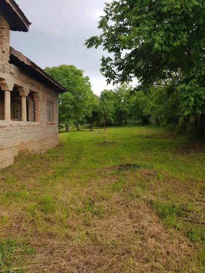 Casă cu 3 camere în Exterior Vest