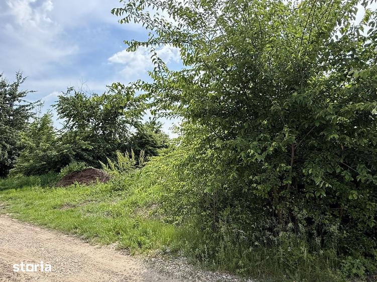 Teren de 498.02 mp, în Corbeanca
