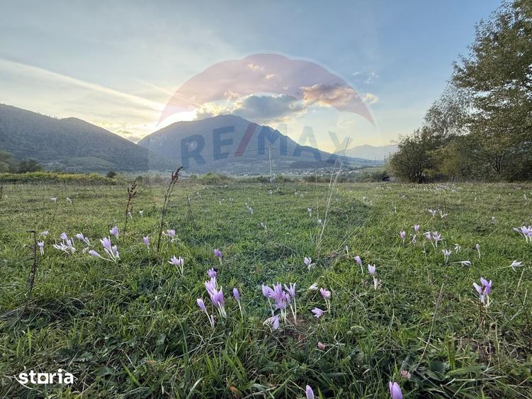 Teren de 646 mp, în Tohănița