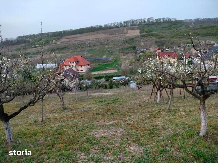 Teren de 3000 mp, în Corunca