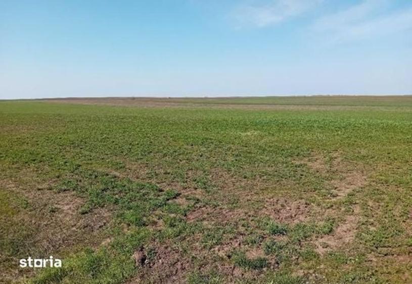 Teren de 5800 mp, în Avrămeni