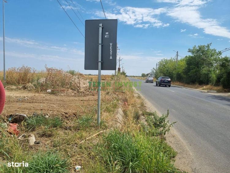 Teren de 42000 mp, în Cernica