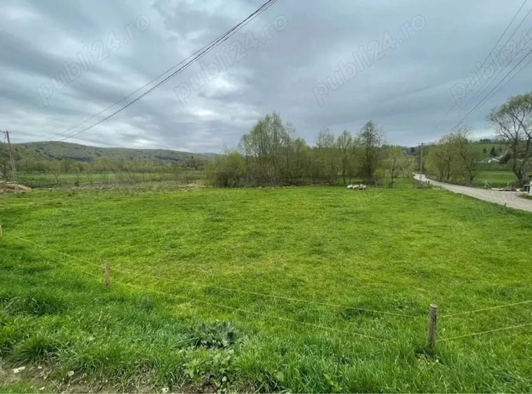 Teren de 1500 mp, în Vama Buzăului