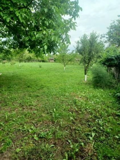 Teren Construcții intravilan de 3413 mp, în Gheorghe Doja