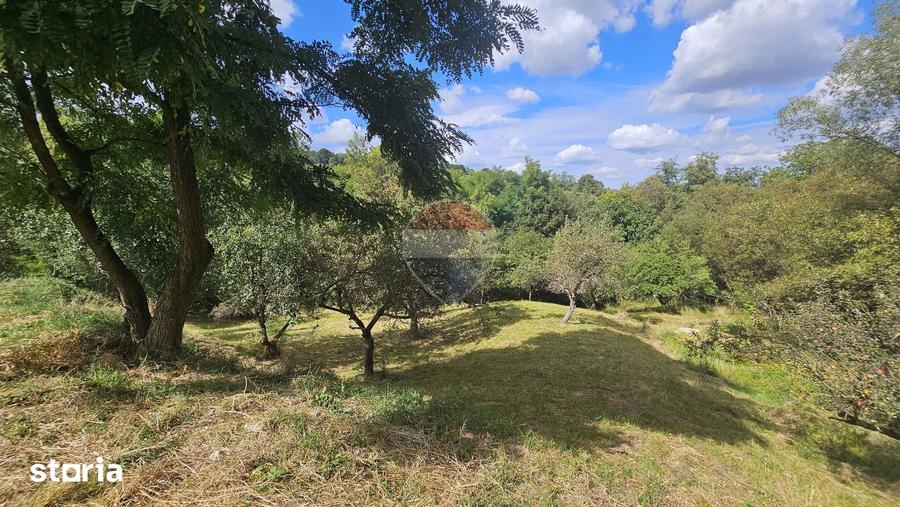 Casă cu 4 camere cu Teren 4840 Mp în Bran