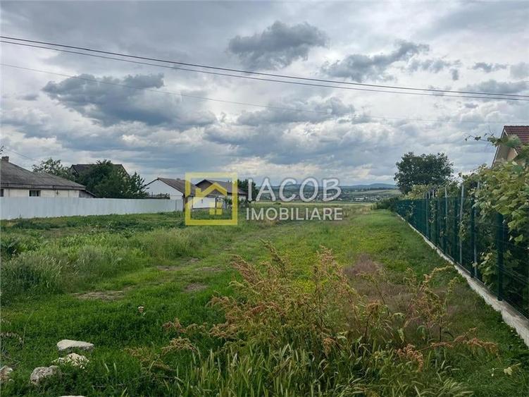 Teren Construcții intravilan de 3000 mp, în Lilieci