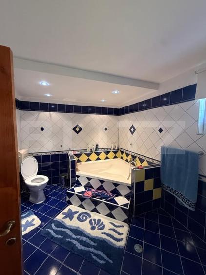 Casa individuala cu etaj, 10 ari teren, 207 mp utili, Plopeni, Salcea - 12