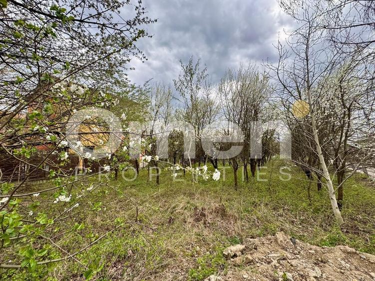 Teren agricol intravilan de 800 mp, în Valea Borcutului