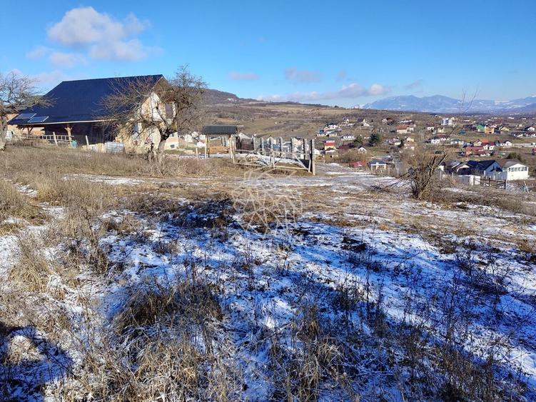 Teren Construcții intravilan de 1425 mp, în Vest