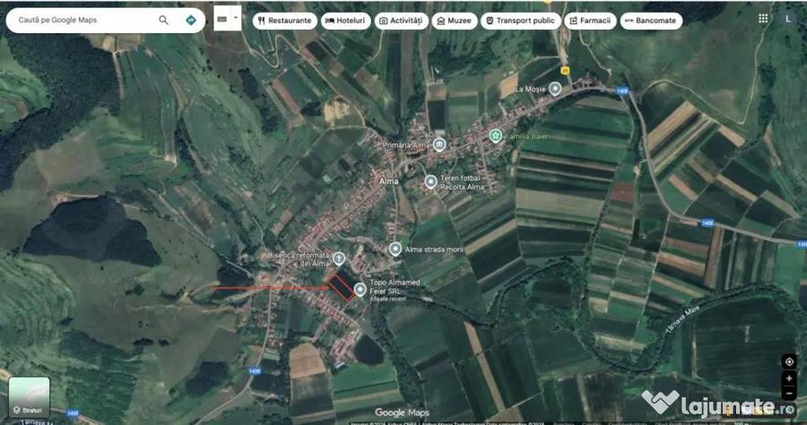 Teren de 7342 mp, în Alma
