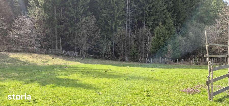 Teren de 4096 mp, în Tarcău