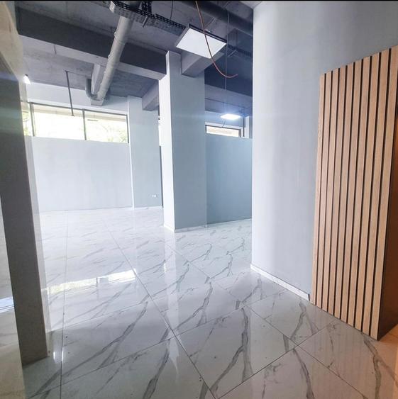 Spațiu comercial, de 424 mp, în Vitan