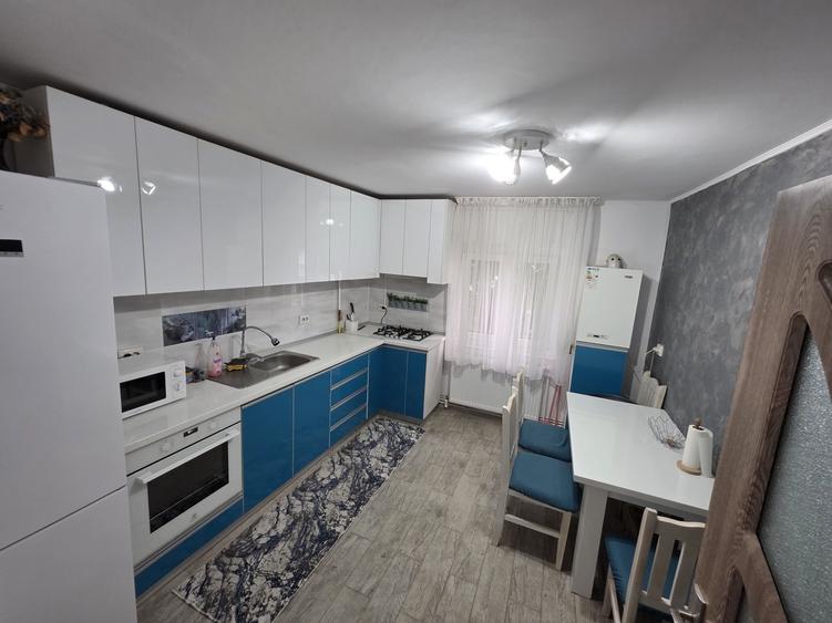 Apartament deosebit cu 2 camere si 2 bai Etaj 4/4 - 6