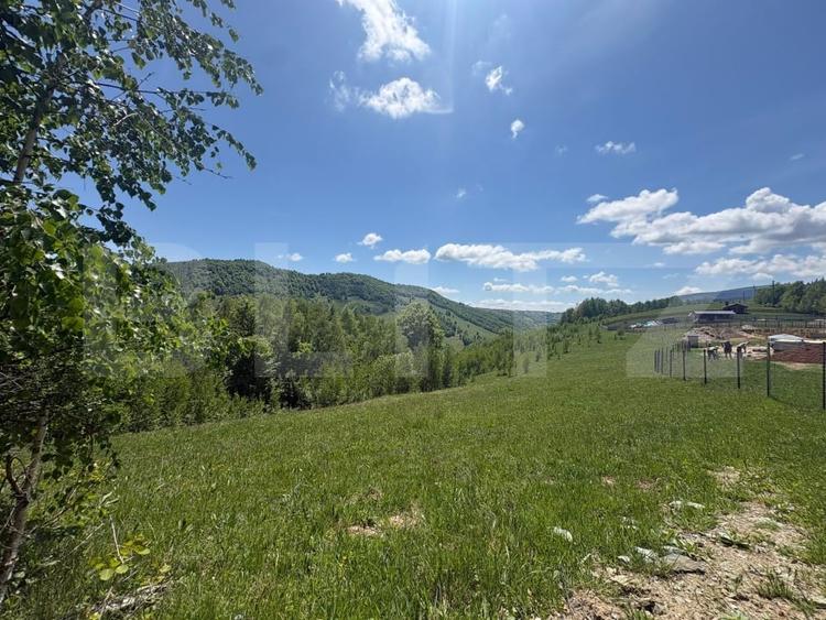 Teren Construcții intravilan de 5000 mp, în Muntele Băișorii