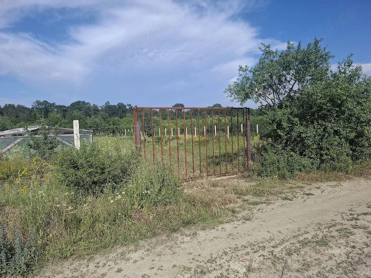 Teren de 5300 mp, în Dragșina
