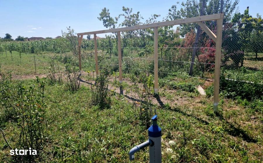 Casa cu teren de 40 ari in localitatea Gelu - 5