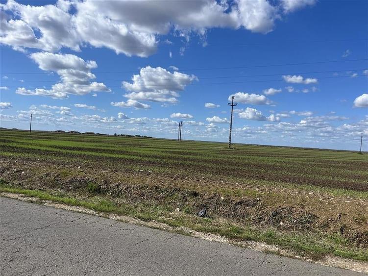 Teren Construcții intravilan de 558 mp, în Livada de Bihor