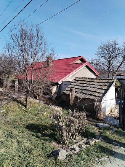 Casă cu 3 camere cu Teren 48000 Mp în Grădina