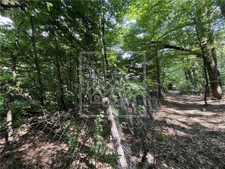 Teren agricol extravilan de 1500 mp, în Central