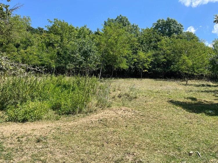 Teren de 2774 mp, în Silivașu de Câmpie