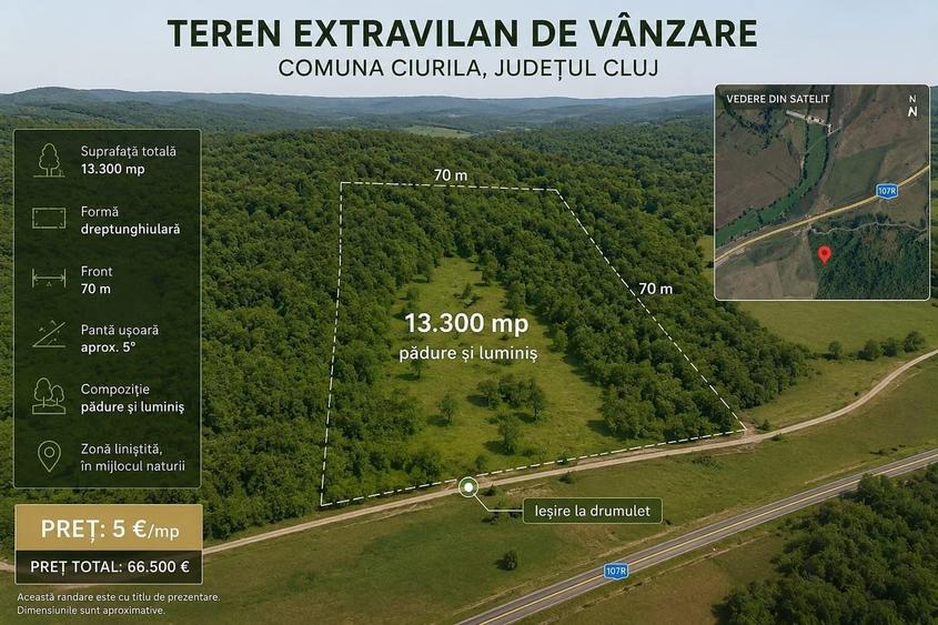 Teren extravilan 13.300 mp in Ciurila, Cluj - 2