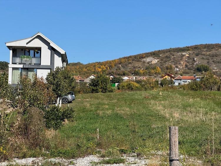 Teren Construcții intravilan de 3000 mp, în Betfia