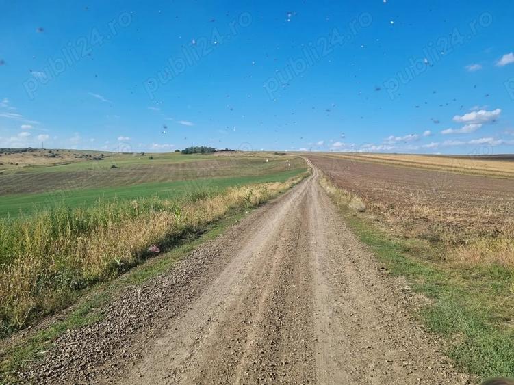 Teren în Central