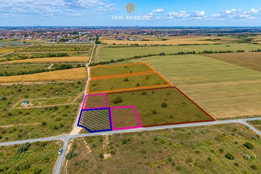 Teren Construcții intravilan de 620 mp, în Moșnița Nouă