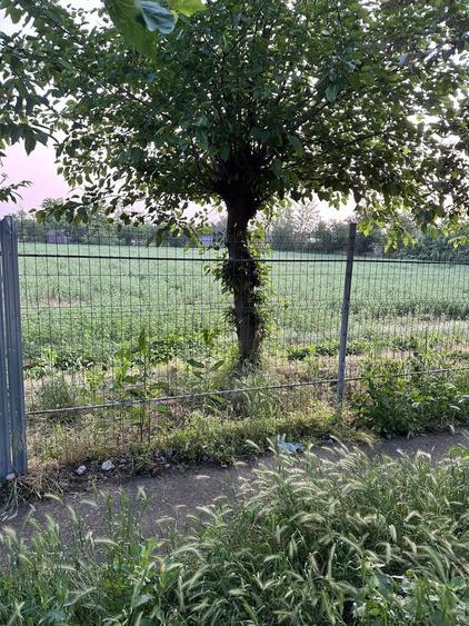 Teren de 2185 mp, în Tudor Vladimirescu