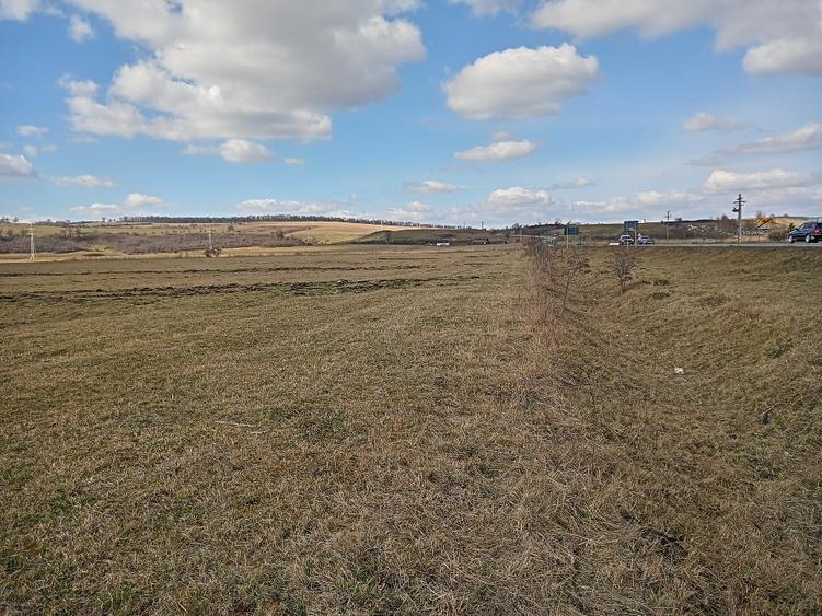 Teren agricol extravilan de 15700 mp, în Central