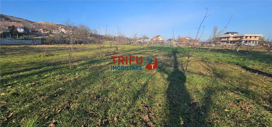 Teren Construcții intravilan de 2200 mp, în Ampoi 1